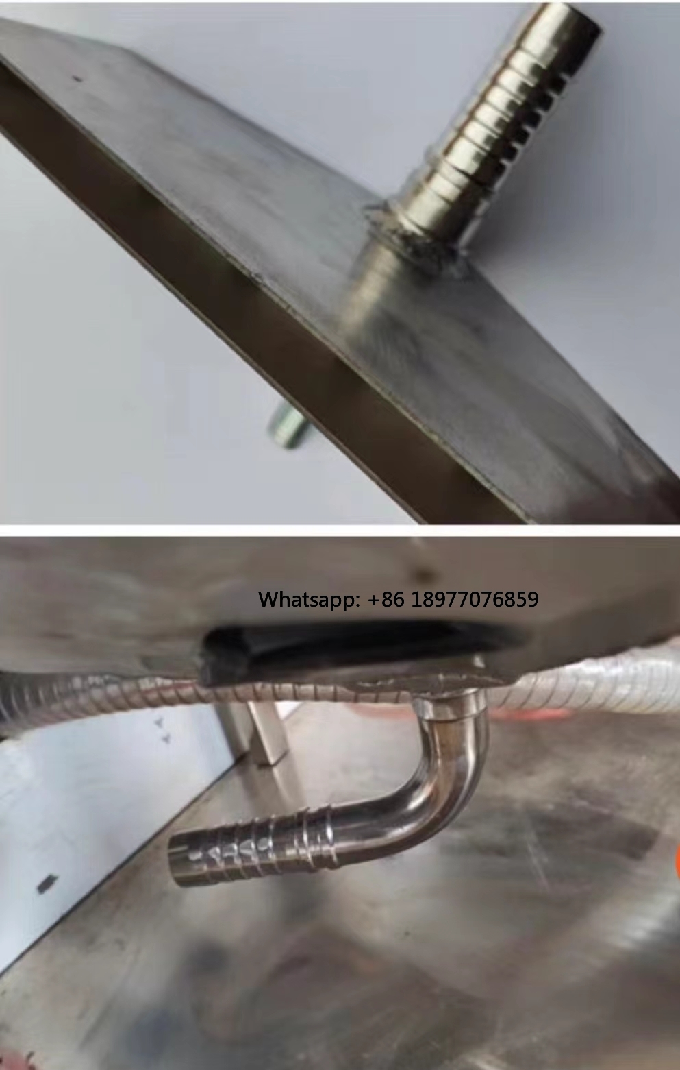 2026 New Full Automatic Electr - Spring Roll Wrapper 评论和价格